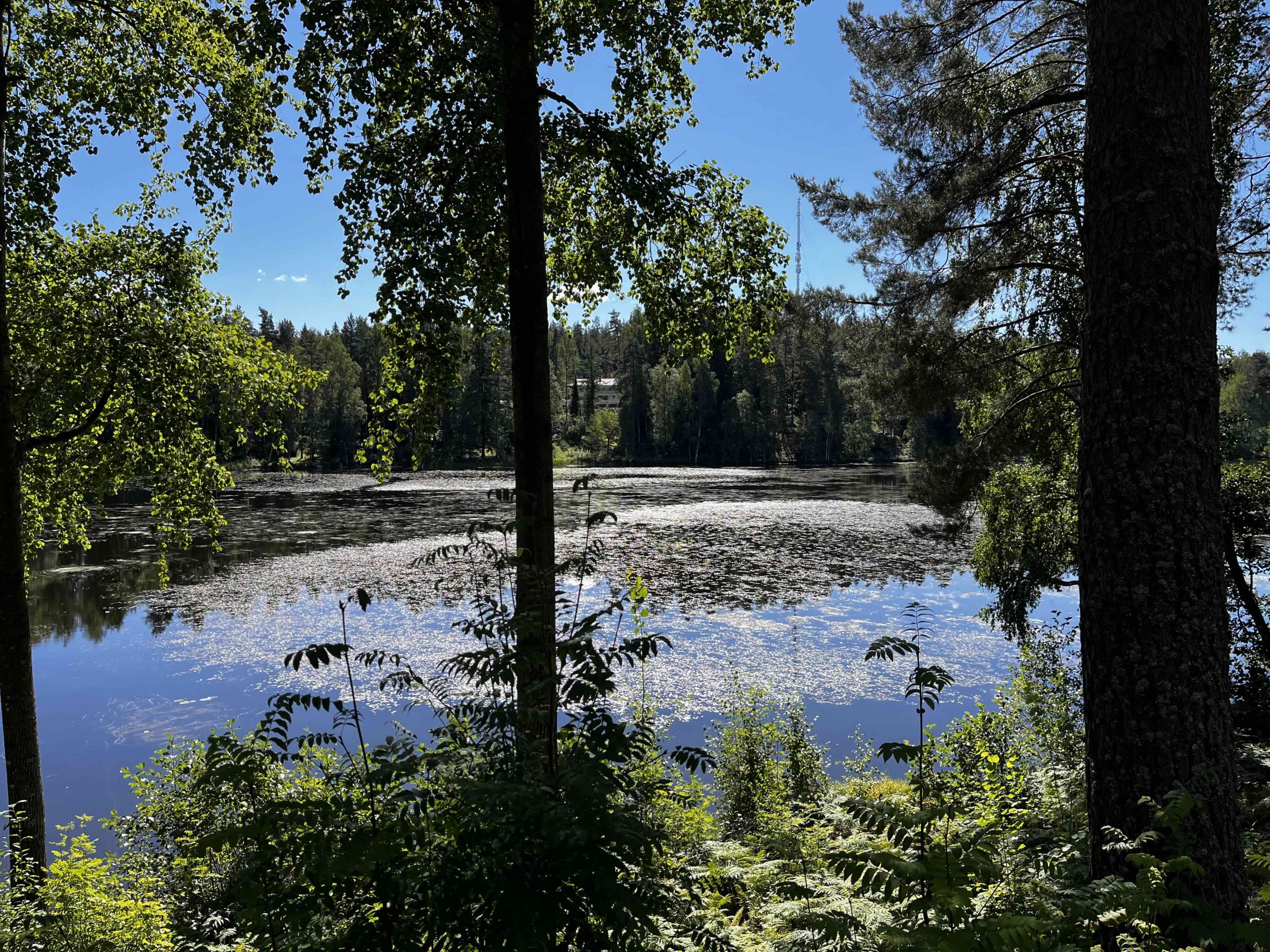 Syystalkoot 7-8 Syyskuuta 2024