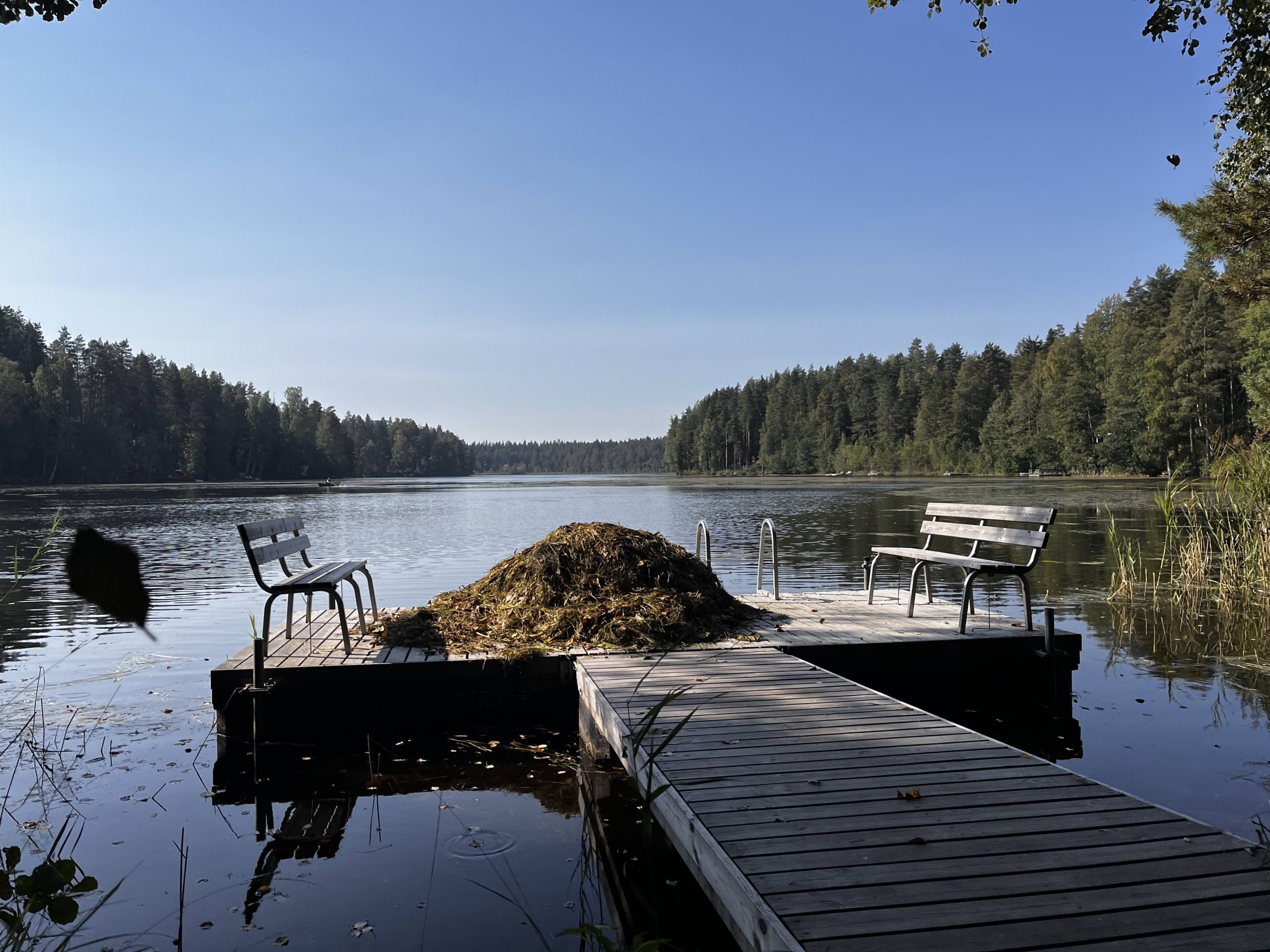 Kalastuskunnan vuosikokous 2024