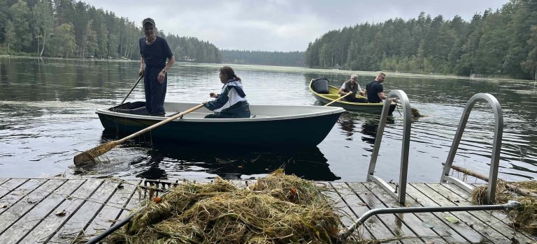 Kalajärven Niittotalkoot